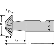 Winkel-Fräser HSS-E DIN1833D Typ N 45°, 25mm Z=10